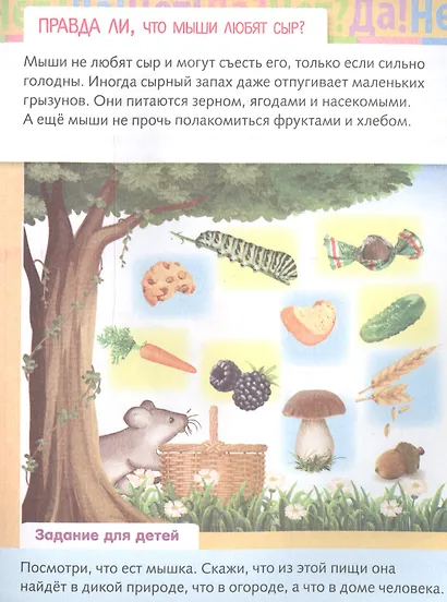 От чего и почему? Правда ли что..? - фото 5