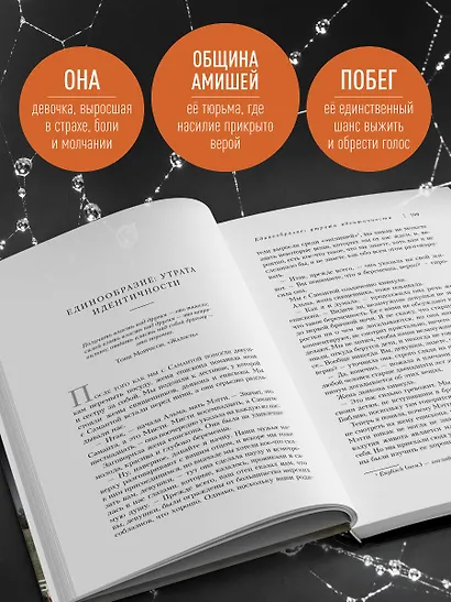 Слезы безгласных. Она вырвалась из мира амишей, где боль называли смирением - фото 5