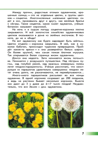Зеленые страницы. Книга для учащихся начальных классов - фото 8