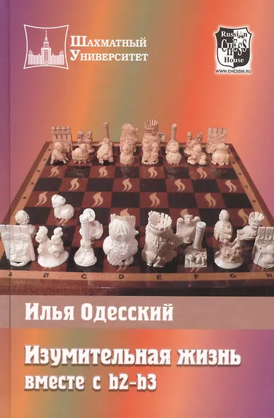 Изумительная жизнь вместе с b2-b3 - фото 2