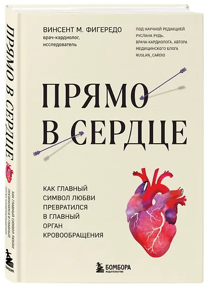Прямо в сердце. Как главный символ любви превратился в главный орган кровообращения - фото 3