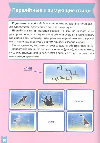 Я учусь! Для детей от 3 до 4 лет. Окружающий мир - фото 5