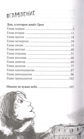 Дом, в котором живет Гром. Никому не нужно небо. Повести - фото 2