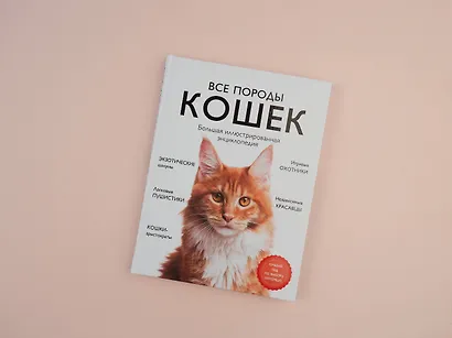 Все породы кошек. Большая иллюстрированная энциклопедия - фото 4
