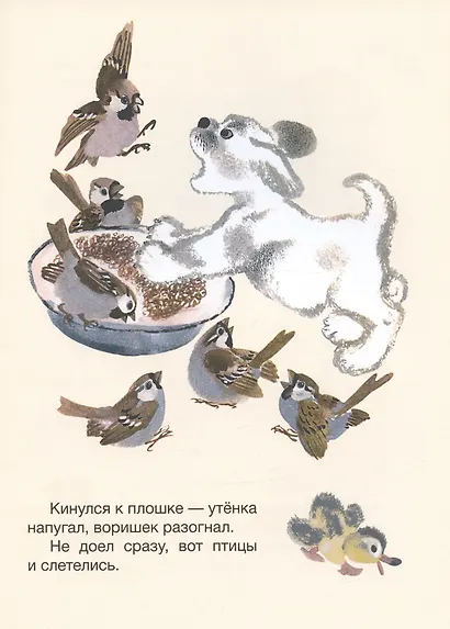 Когда утёнок вырастет? - фото 5