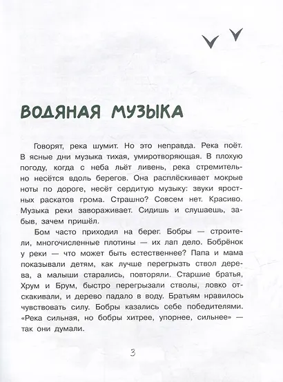 Бобренок Бом и скрипка филина - фото 3