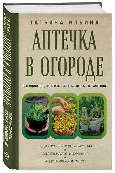 Аптечка в огороде. Выращивание, сбор и применение целебных растений - фото 3