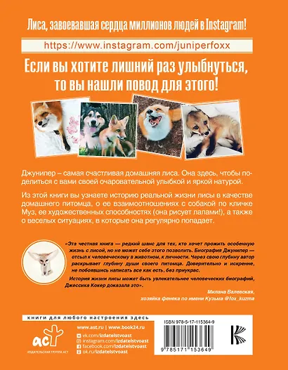 Счастливая лиса Джунипер - фото 2