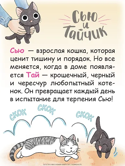 Сью и Тайчик. Том 2. Манга - фото 6