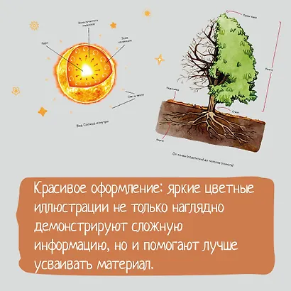 Древний мир. Окаменелости. Животные и растения. Наши предки - фото 8