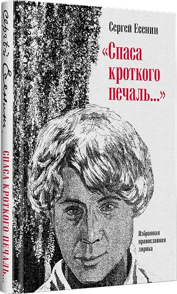 &quot Спаса кроткого печаль...&quot  Избранная православная лирика - фото 2