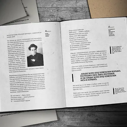 Феномен российских маньяков. Первое масштабное исследование маньяков и серийных убийц времен царизма, СССР и РФ - фото 8