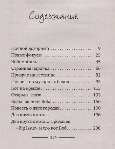 Мир глазами кота Боба. Новые приключения человека и его рыжего друга - фото 2