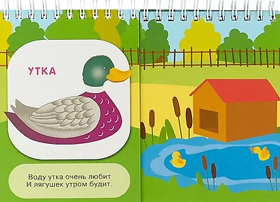 Кто где живёт - фото 2