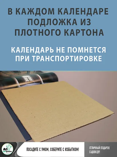 Календарь огородника с народными приметами на 2026 год - фото 4