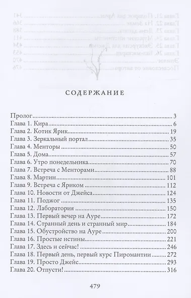 Аура Лаорка. Хозяйка Зеркала - фото 2