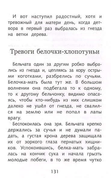 Лесное эхо - фото 5