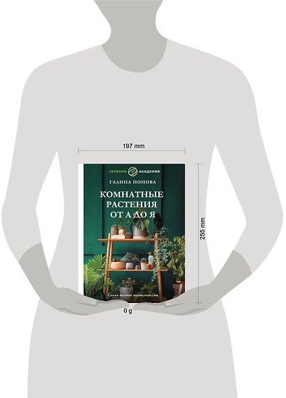 Комнатные растения от А до Я. Самая полная энциклопедия - фото 4