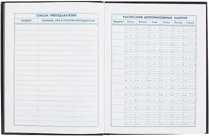 Дневник для мл.кл. "Лоли и мишки" тв.переплёт, полноцв.печать, печать по фольге, глянц.ламинация, пантон, шпаргалка для мл.классов - фото 4