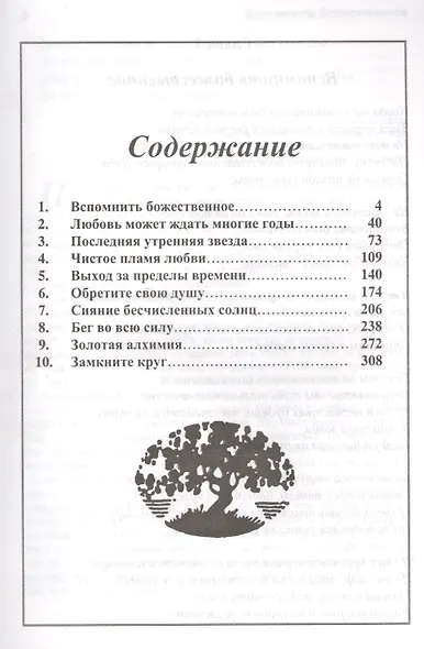 Выход за пределы времени. Последняя утренняя звезда - фото 2