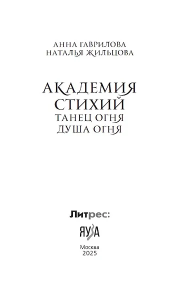 Академия стихий. Танец огня. Душа огня - фото 7