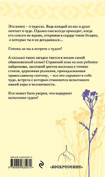 Испытание чудом. Житейские истории о вере - фото 2