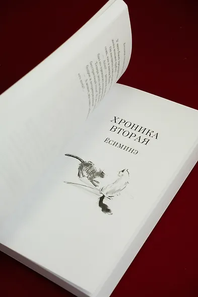 Хроники странствующего кота - фото 12