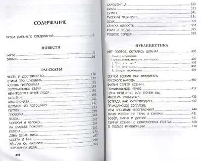 Русский лабиринт - фото 2