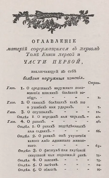 Книга о болезнях лошадей - фото 2