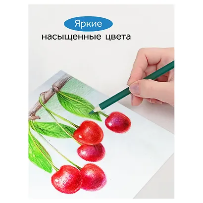 Карандаши цветные 12цв акварельные с кистью "Классические", к/к, Гамма - фото 8