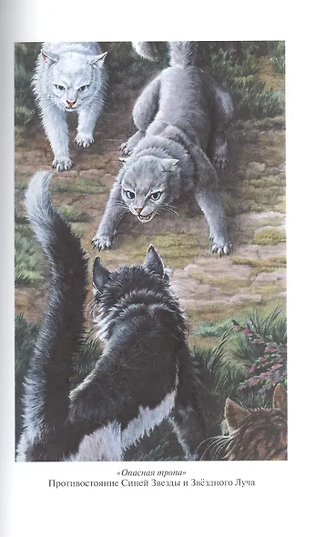 Опасная тропа. Битва за лес - фото 12