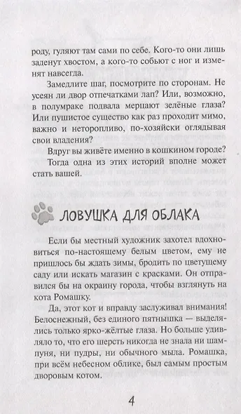 Кошкин город. Бродячии истории - фото 4