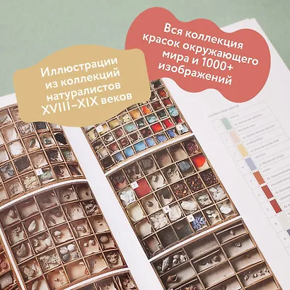 Цвет в природе. Коллекция красок окружающего мира - фото 11