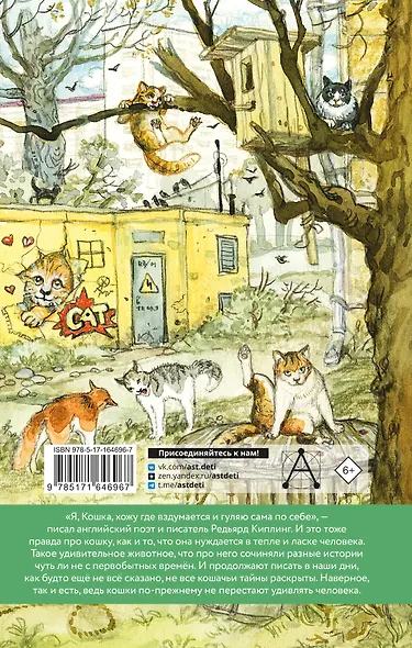 Большая кошачья книга - фото 2