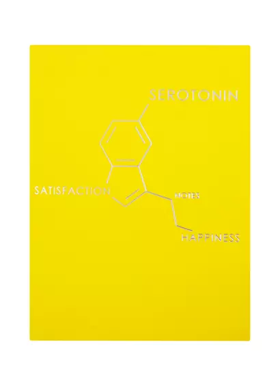 Записная книжка А6 80л лин. "Molecule. Serotonine" интеграл.переплет, Soft Touch, тиснение серебр.фольгой - фото 1