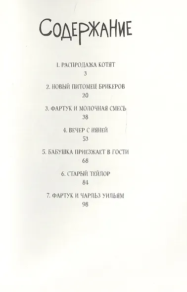 Кот Фартук - фото 2