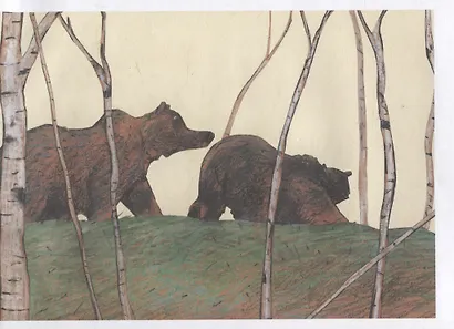 Медвежье чудо - фото 6