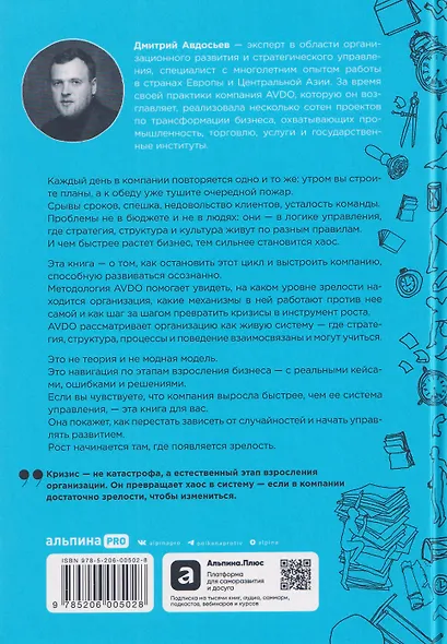 Организационная зрелость и управление кризисами: Как компания становится системой - фото 2