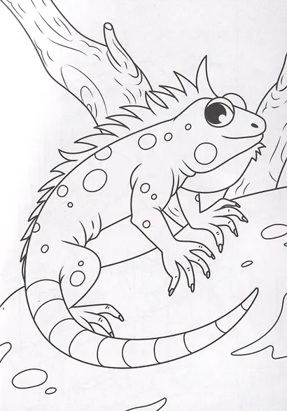 Мои питомцы. Раскраска - фото 4