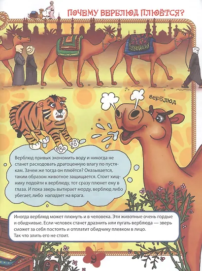 Домашние животные - фото 5