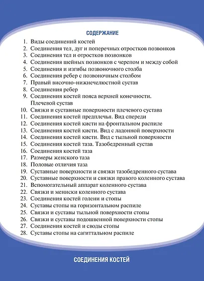 Анатомия человека. Соединения костей. Карточки: наглядное учебное пособие (28 двусторонних карточек) - фото 2