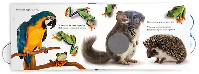 Кто? - фото 2