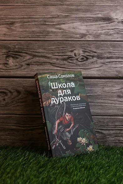 Школа для дураков - фото 7