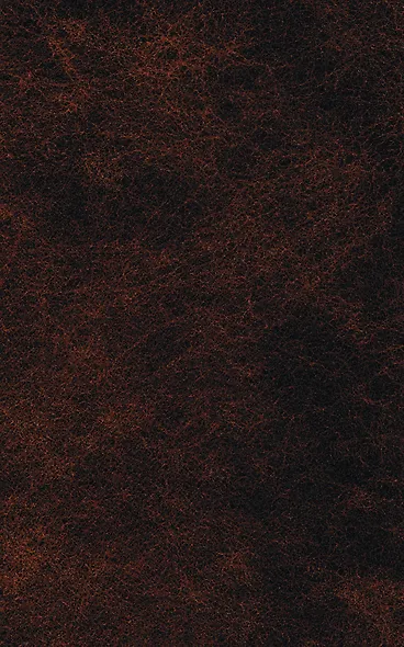 Война и мир. Том I-II (комплект из 2 книг) - фото 2