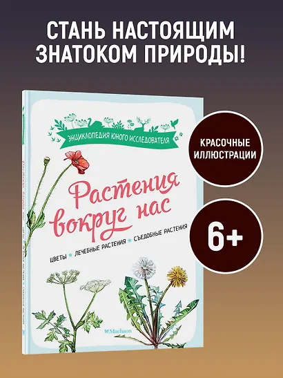 Растения вокруг нас - фото 4