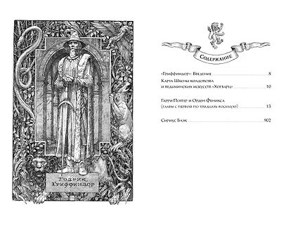 Гарри Поттер и Орден Феникса (Гриффиндор) - фото 13