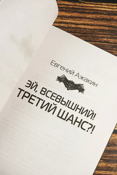 Третий шанс - фото 7