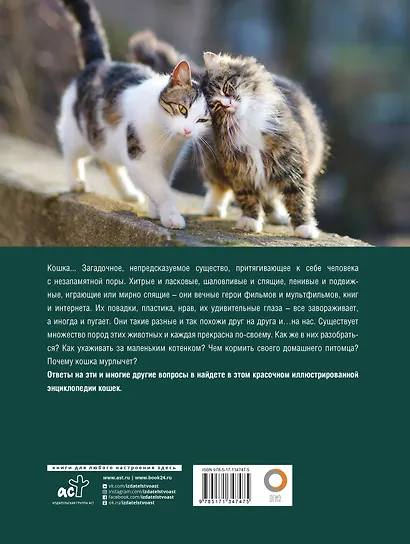 Кошки. Лучший иллюстрированный гид - фото 2