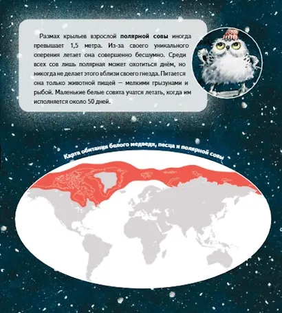 Чудо в Новый год: как Белый Мишка нашёл друзей. Полезные сказки - фото 9