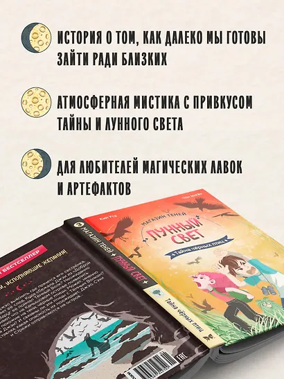 Магазин теней «Лунный свет». Книга 3. Тайна чёрных птиц - фото 5